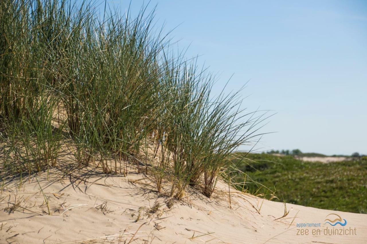 Appartement Zee En Duinzicht 78 Katwijk aan Zee Eksteriør bilde